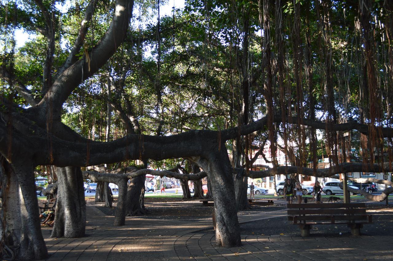 Хостел The Lahaina Beach House Экстерьер фото